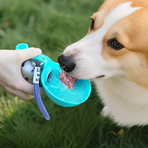 2-in-1 Portable Dog Water Bottle - Leak-Proof & Compact